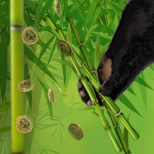 panda pawn and bamboos casino bonus