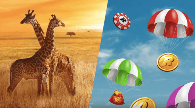 safari promotion by Rizk - to left Giraffes, to right landing Rizk wins