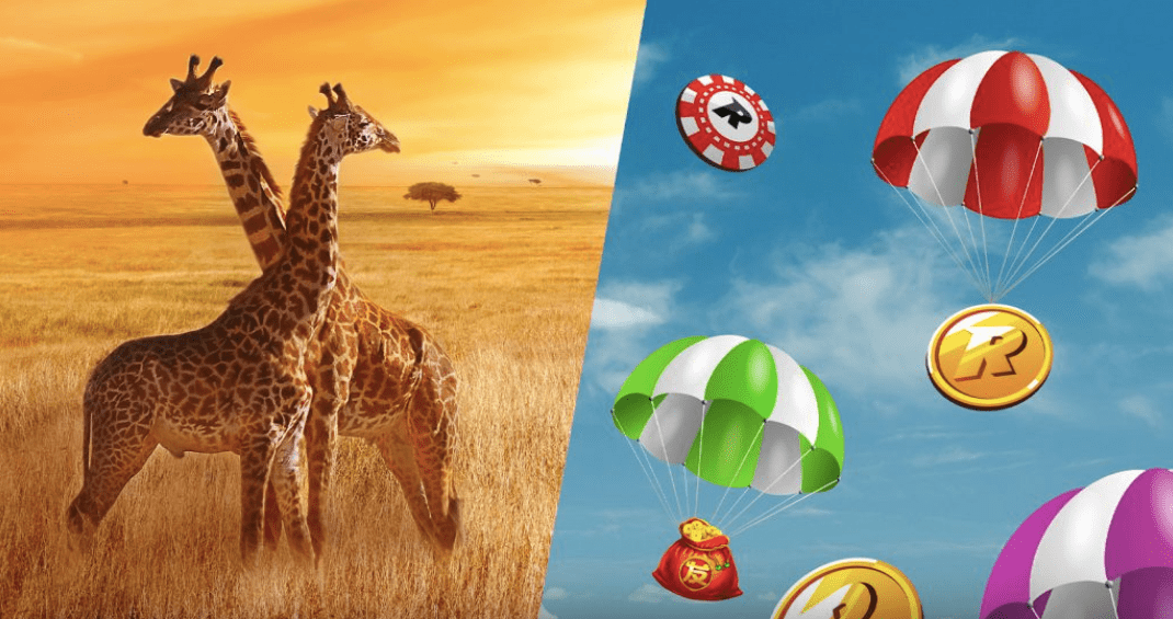 safari promotion by Rizk - to left Giraffes, to right landing Rizk wins