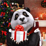 royal panda holds a christmas gift