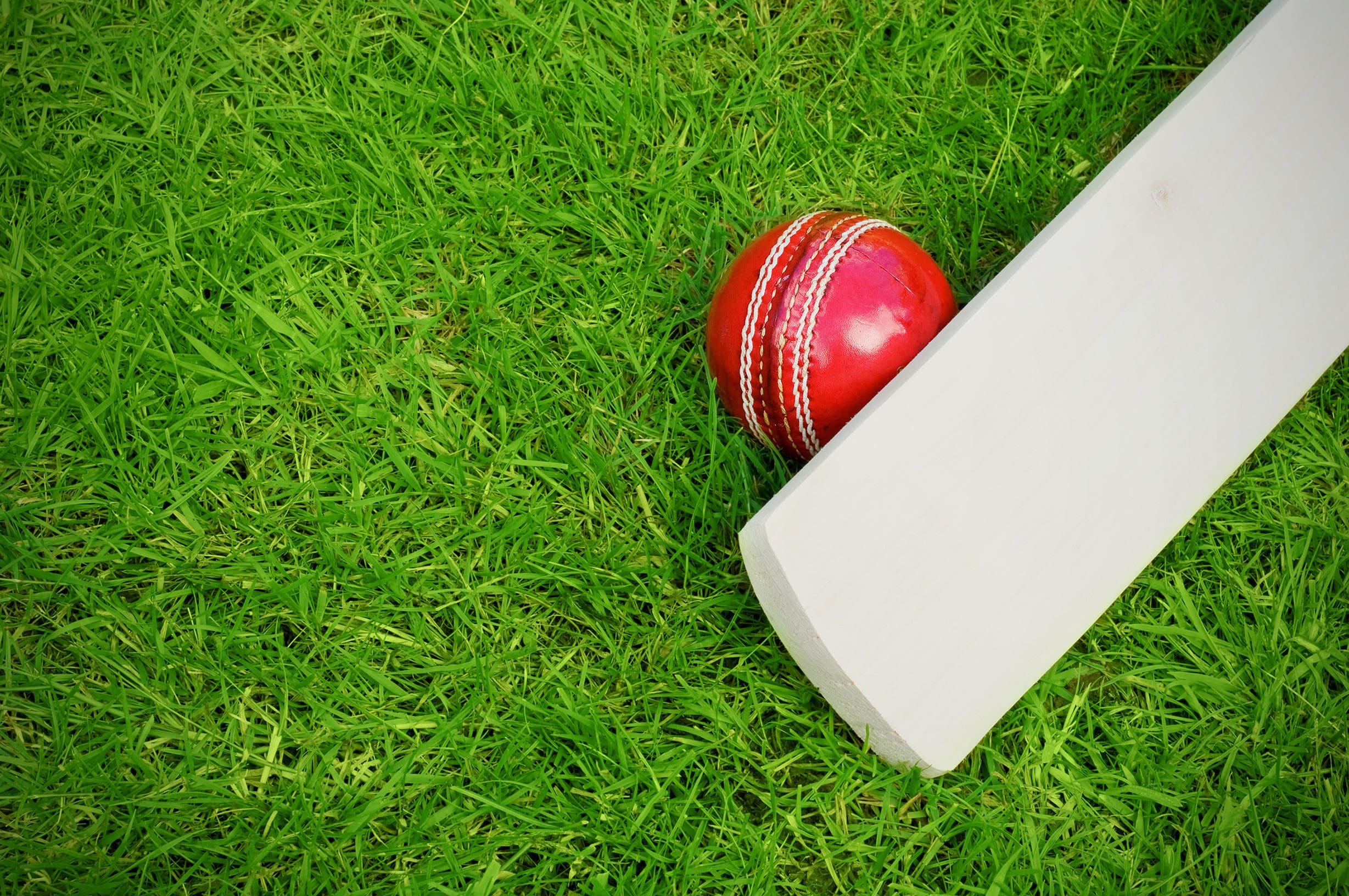 cricket featured image